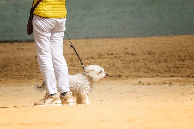 Beach Stroll
