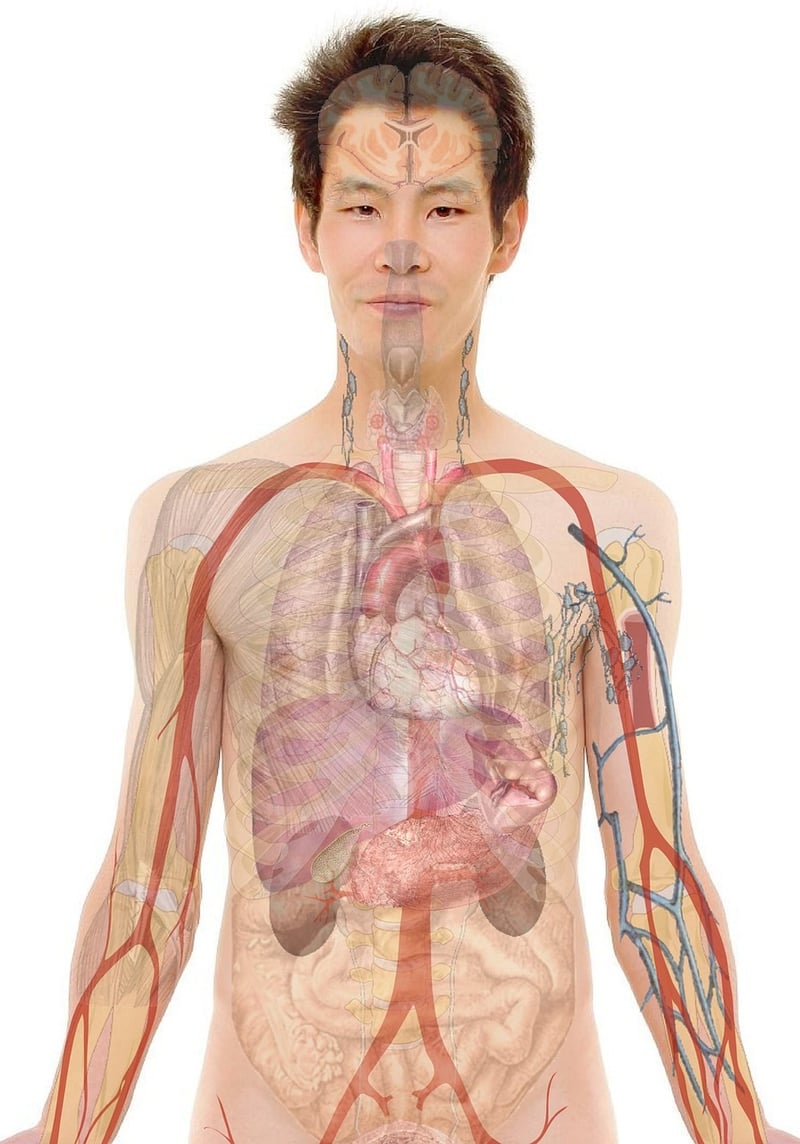 Pilates Image